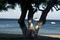 places-two (7)